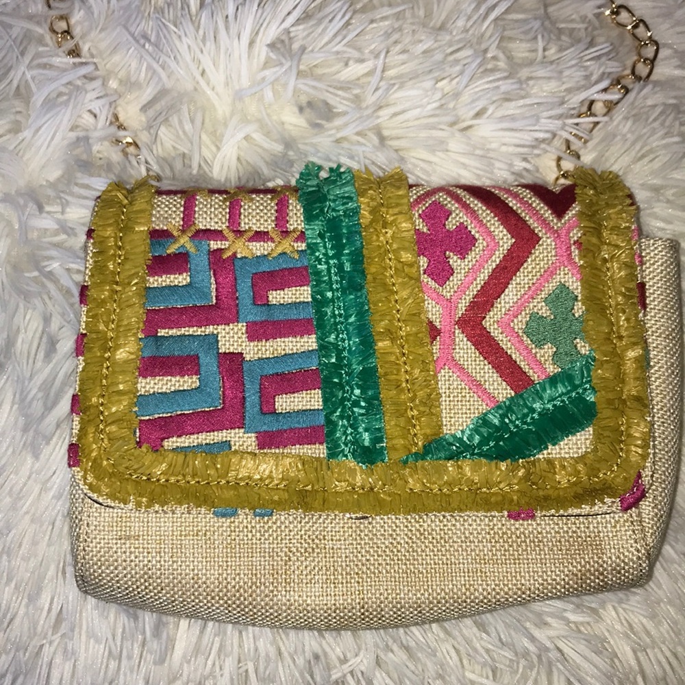 Nanette Lenore Multi Colored Purse